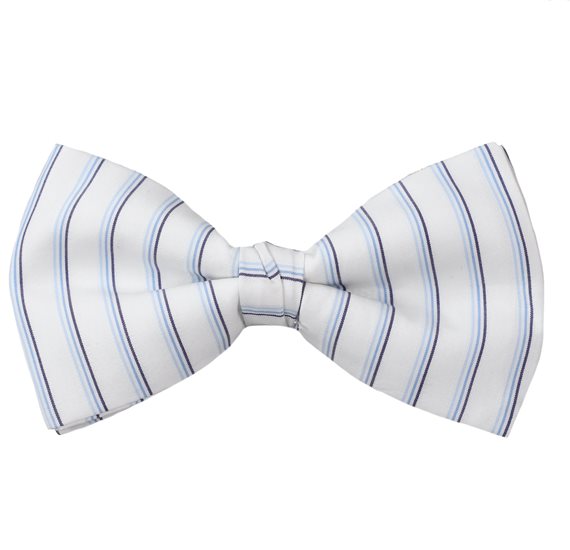 Noeud Papillon Rayures Bleues