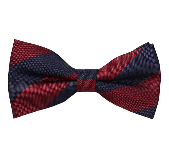 Noeud Papillon Rayures Bleues et Bordeaux