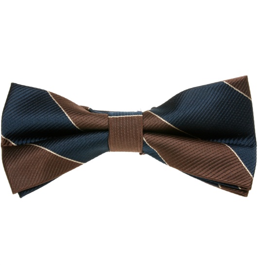 Noeud Papillon Rayé Marron et Bleu Marine