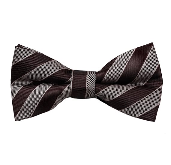 Noeud Papillon Rayures Marron et Beige