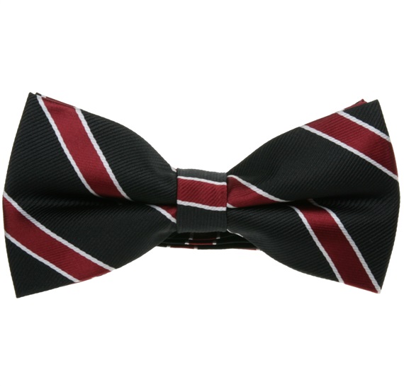 Noeud Papillon Rayures Noir et Bordeaux