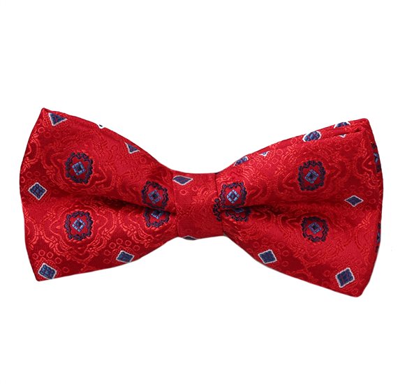Noeud Papillon Rouge Design Bleu