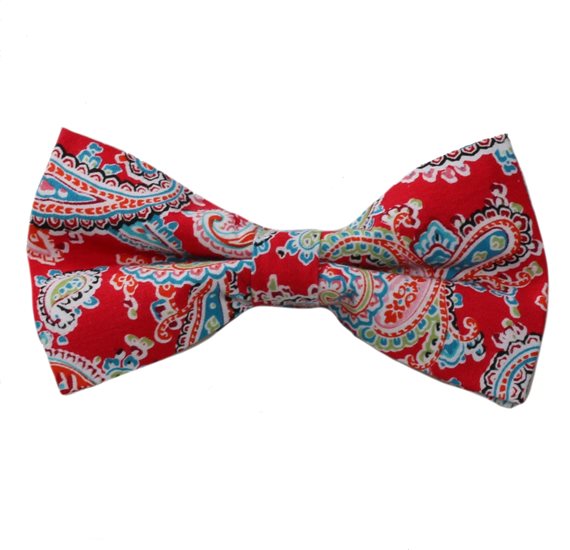 Noeud Papillon Rouge Paisley