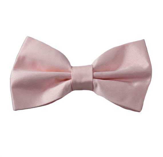 Papillon Rose Audrey