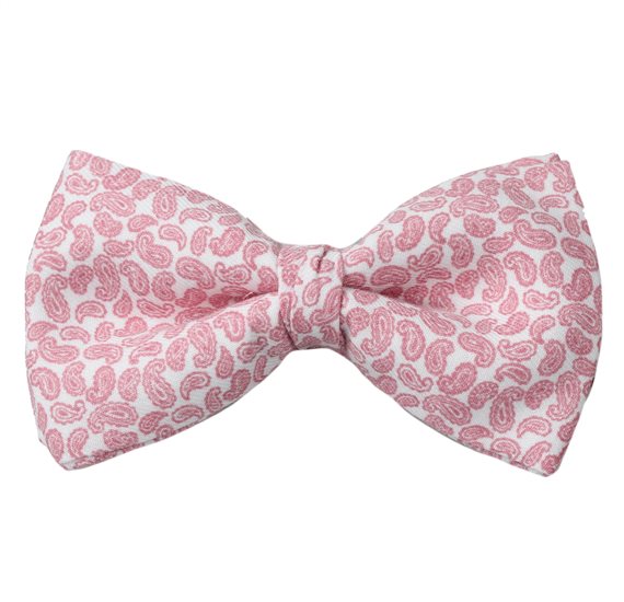 Papillon Rose Paisley