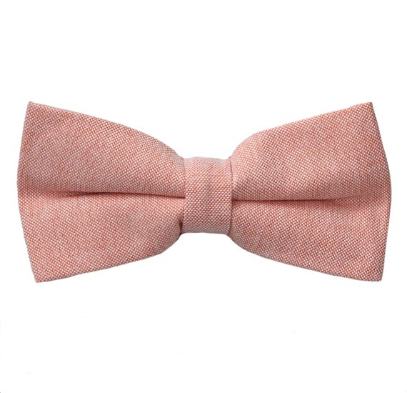Noeud Papillon Saumon