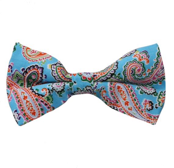 Noeud Papillon Turquoise Paisley