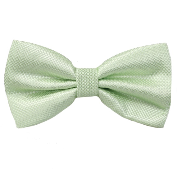 Noeud Papillon Vert Clair