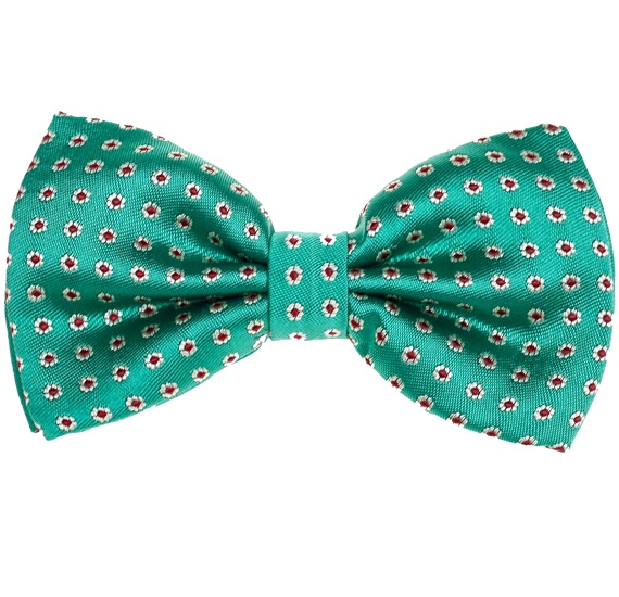Noeud Papillon Vert avec Marguerites Blanches