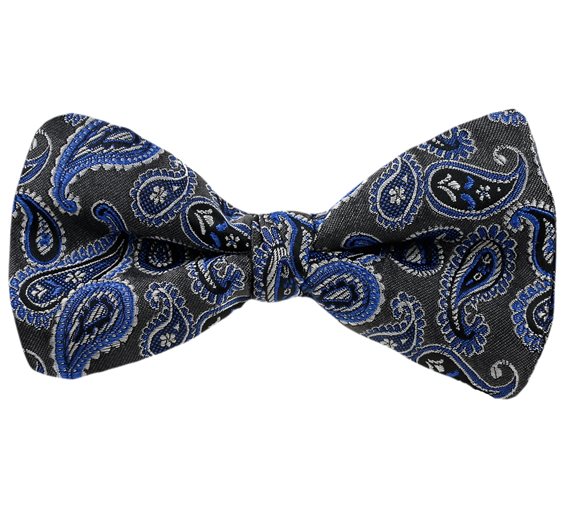 Papillon Vert Motif Paisley Bleu