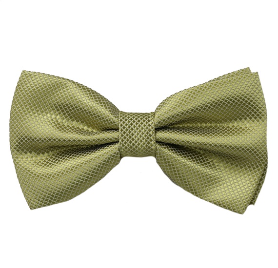 Noeud Papillon Habillage Vert Clair