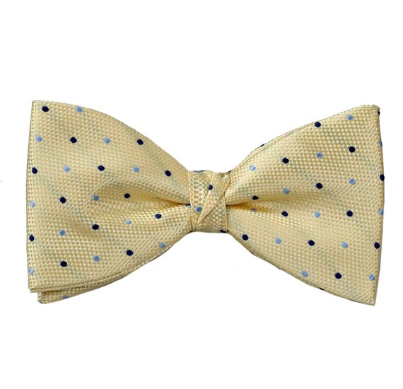 Noeud Papillon et Mouchoir Jaune à Pois