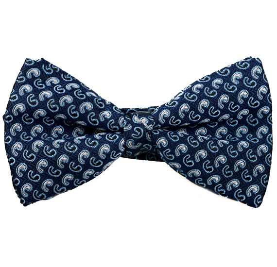 Pajarita y Pañuelo Azul Marino Cachemir Azul