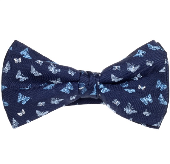 Papillon et Mouchoir Bleu Marine avec Papillons