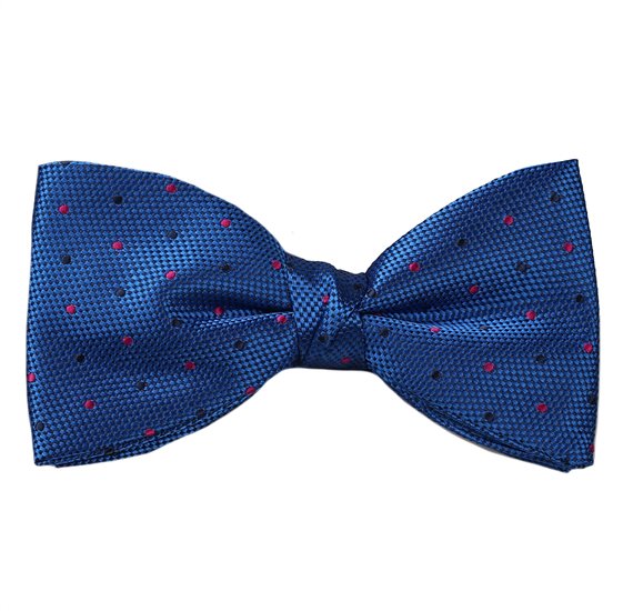 Noeud Papillon et Mouchoir Bleu Ciel à Pois