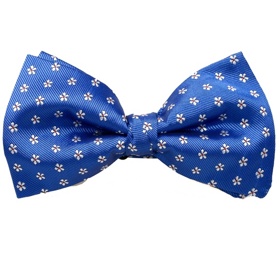 Noeud Papillon et Mouchoir Bleu Ciel avec Marguerites