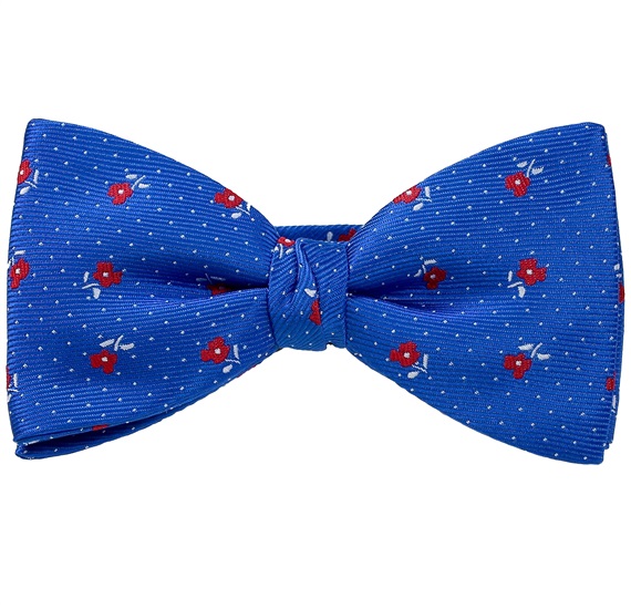 Papillon et Mouchoir Bleu Ciel avec Roses Rouges