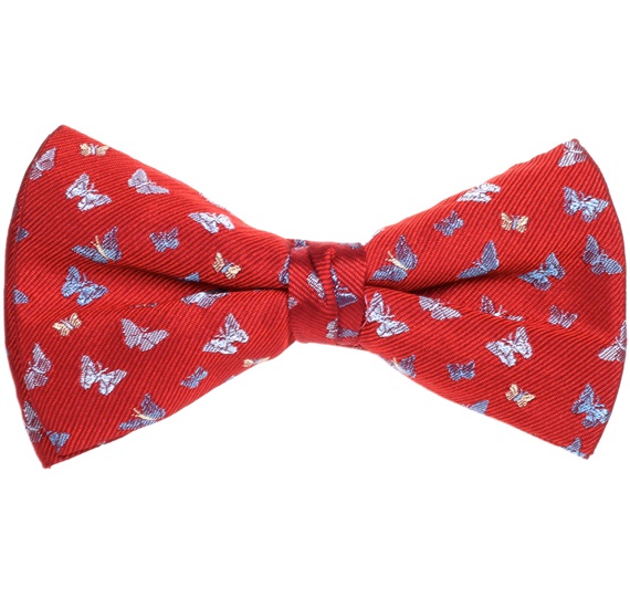 Papillon et Mouchoir Bordeaux avec Papillons Bleus