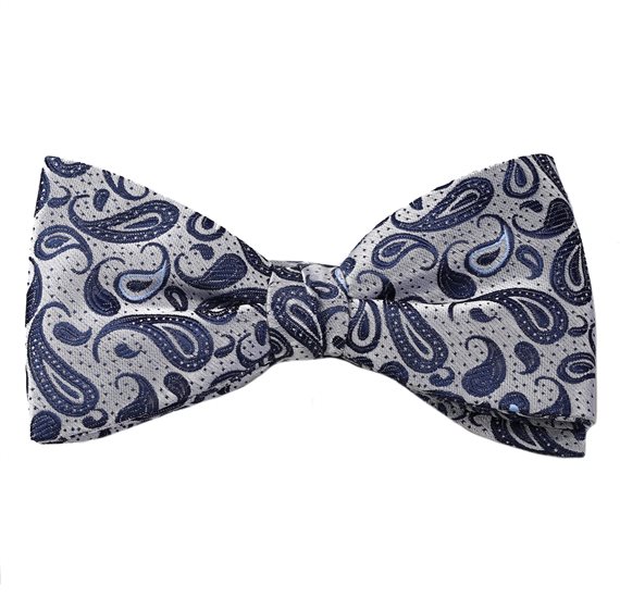 Noeud Papillon et Mouchoir Gris Paisley Bleu