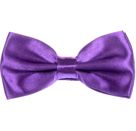 Noeud Papillon et Mouchoir Violet