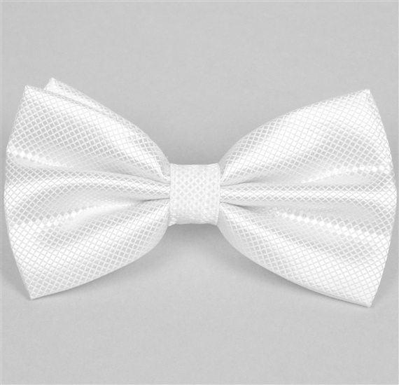 Noeud Papillon et Mouchoir en Satin Blanc