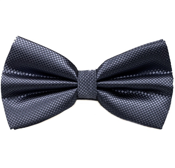 Noeud Papillon et Mouchoir en Satin Gris