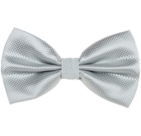 Noeud Papillon et Mouchoir en Satin Gris Clair