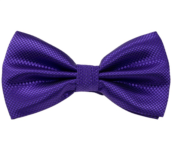 Noeud Papillon et Mouchoir en Satin Violet Foncé