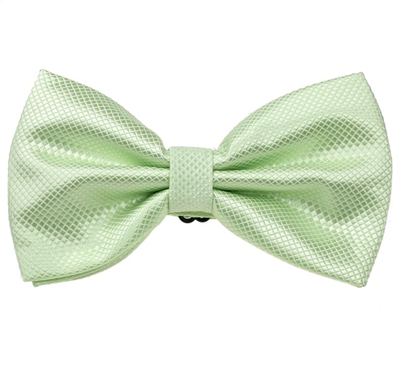Noeud Papillon et Mouchoir en Satin Vert d'Eau