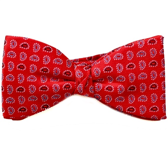 Noeud Papillon et Mouchoir Rouge avec Cachemire Bleu