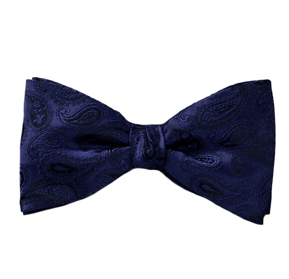 Noeud Papillon et Mouchoir en Soie Bleue avec Cachemire