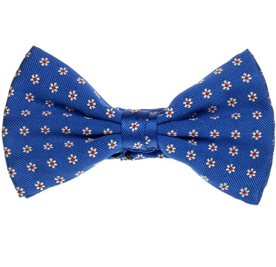 Noeud Papillon et Mouchoir en Soie Bleu Ciel Marguerites