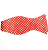 Cravate à Pois Rouge et Blanc