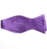 Cravate Noeud Papillon Violette