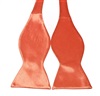 Cravate Noeud Papillon Orange