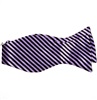 Cravate à Rayures Violettes et Noires