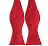 Cravate Papillon Rouge à Motif Paisley