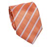 Cravate Rayée Orange