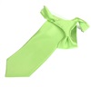 Cravate Enfant Vert