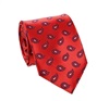 Cravate Rouge avec Motif Cachemire Bleu Marine