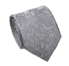 Cravate en Soie et Cachemire Gris