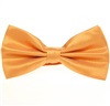 Noeud Papillon Jaune