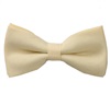 Noeud Papillon Jaune Clair