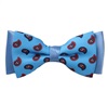 Noeud Papillon Bleu Ciel Cachemire