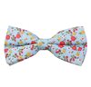 Noeud Papillon Bleu Ciel Fleurs Rouges