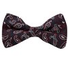 Noeud Papillon Bleu Motif Paisley Rouge