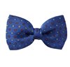 Noeud Papillon Bleu France Marguerites Bordeaux