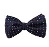 Noeud Papillon Bleu à Pois Multicolores