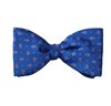 Papillon Bleu Royal Paisley Rouge et Gris