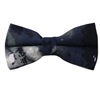 Noeud Papillon Bleu et Gris